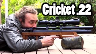 Kalibrgun Cricket  .22 Review