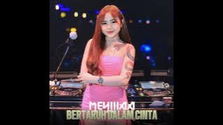 Bertaruh Dalam Cinta