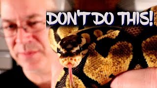 Don't do this with your snake!