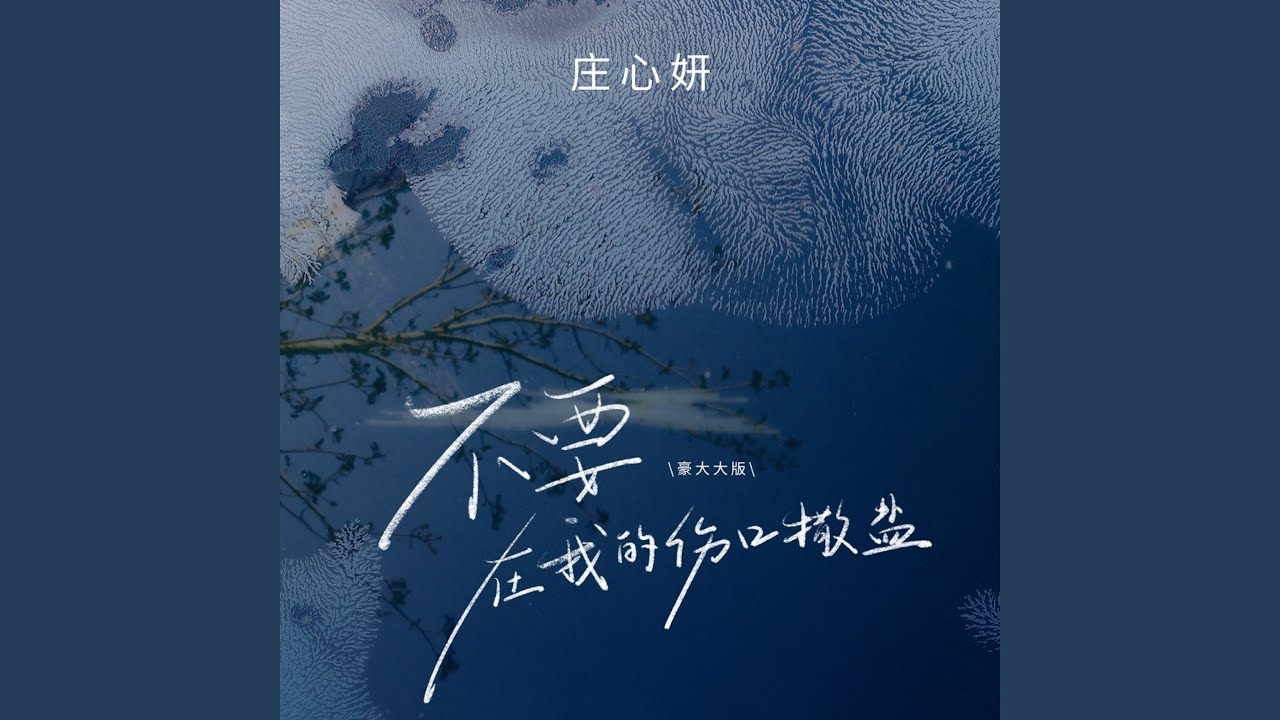 不要在我的伤口撒盐 (豪大大版)