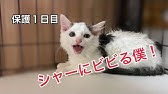 ちはる空気砲 Youtube ちはる空気砲 Youtube
