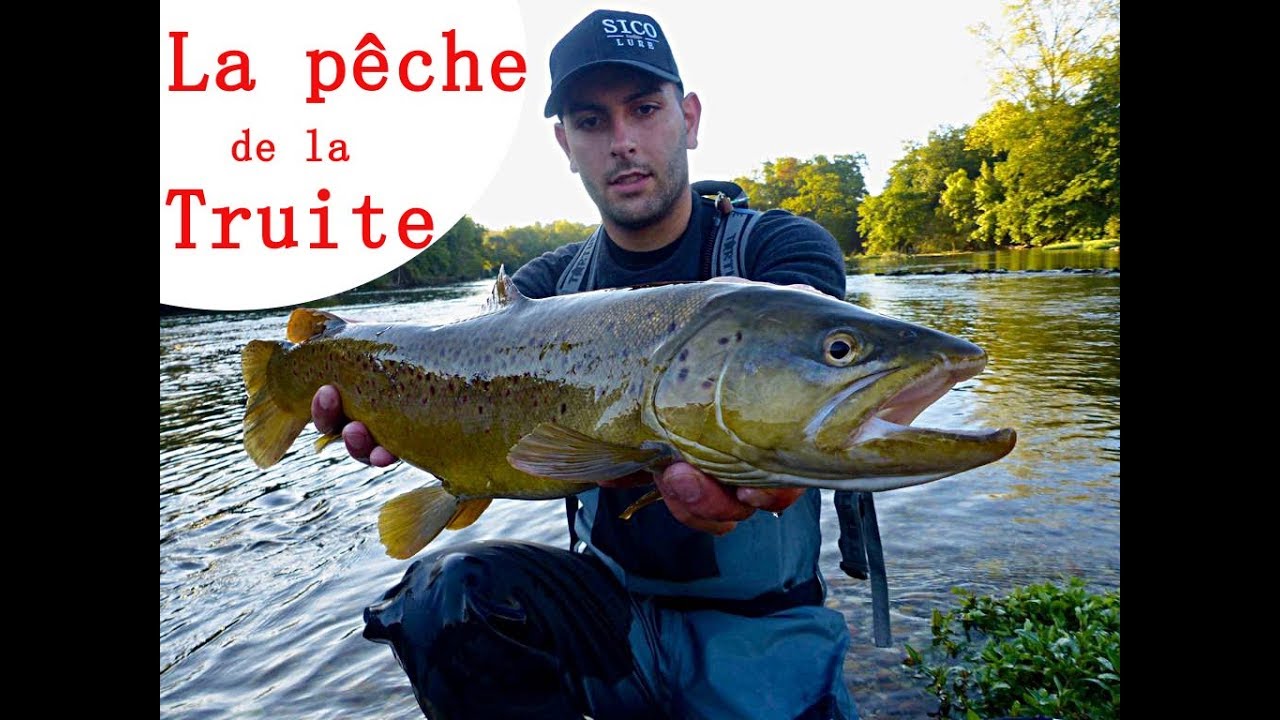 Leurre pêche truite Supremo Mofe 50 SS l Sico-lure