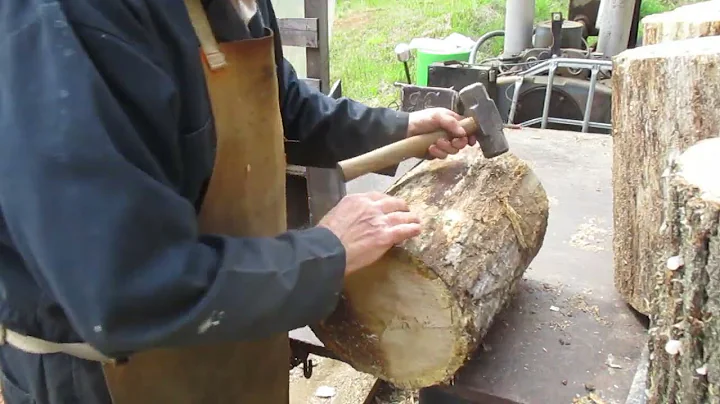 More wild wood/log splitting and look at another DOG #754