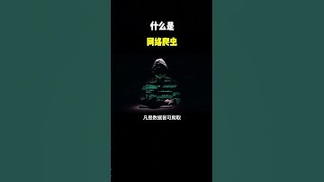 NINJA OMEGA SEC  |  什么是网络爬虫？爬虫就是用代码写的程序，可以爬取网页上你能看到的所有东西 #计算机 #网络爬虫 #编程