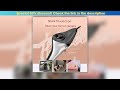 Usb 1080p Car — Exclusive (2025): USB 1080p Car Blind Spot Side View Camera With Auto