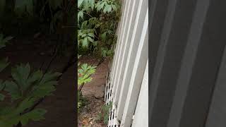 Day 650 of construction and heavy-equipment noise from next door