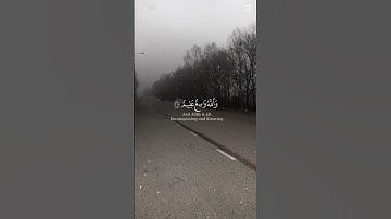 #quran #اكسبلور #تلاوة_خاشعة #راحة_نفسية