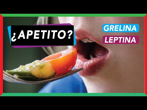 🔴 Hormonas de apetito: grelina y leptina [regulación del hambre]