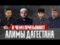 К чему призывают алимы Дагестана | Маджлис в пос. Белиджи Дербентского района