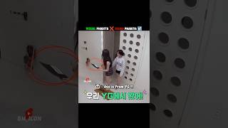 Download Mp3 🦌 : what is yg 🤷🥱#babymonster Gudang lagu Download Mp3 🦌 : what is yg 🤷🥱#babymonster