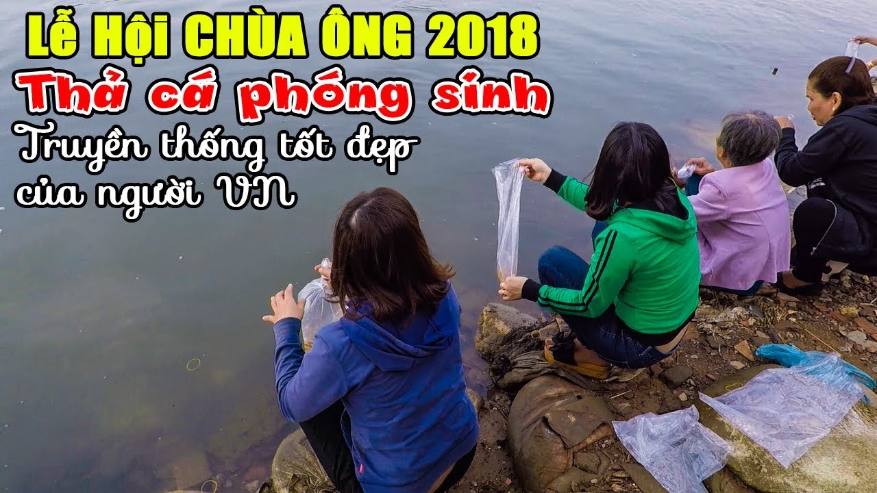 LỄ HỘI CHÙA ÔNG 2018| Thả cá phóng sinh Cù Lao Phố Biên Hòa City - Truyền thống tốt đẹp của người VN - YouTube