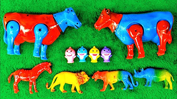 MERAKIT MAINAN SAPI || SAPI LUCU SAPI MOO SAPI JOGET SAPI KARTUN SAPI PEDET & LATO-LATO