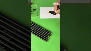 Pencil shavings art ideas