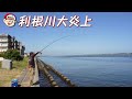 GO!GO!九ちゃんフィッシング #656 「クロダイ!キビレ!ハゼ!(後篇) 千葉県銚子市 利根川河口」