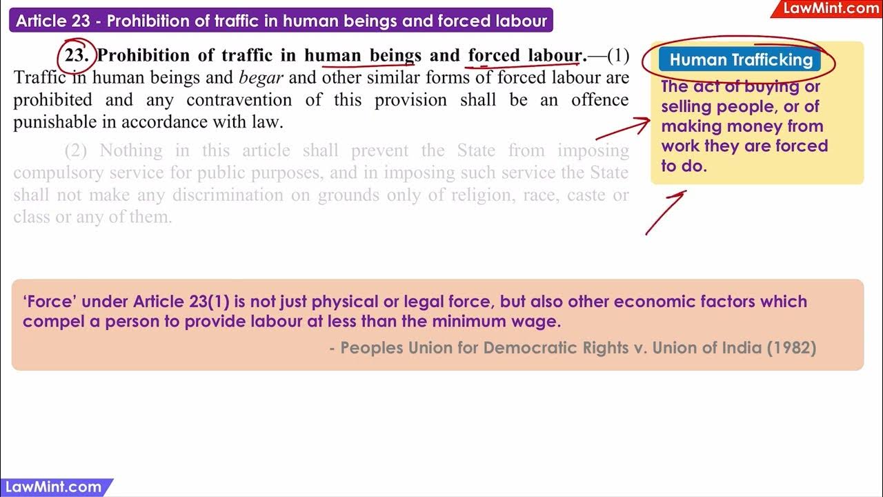 Article 23 Prohibition Of Traffic In Human Beings Forced Labour article-23-prohibition-of-traffic-in-human-beings-forced-labour