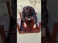 The ancient "Camping Hack"🤯The folding table is magic! #furniture #geniusdesign