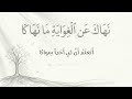 نهاك عن الغواية بهاء الدين زهير بدون مؤثرات إنشاد سليمان الشريقي
