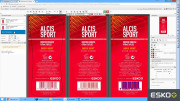 Cerm MIS & Esko prepress: Solution integration movie.