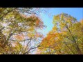 autumn leavesLyrics by Tatsuyuki Takano / Music by Teiichi Okano