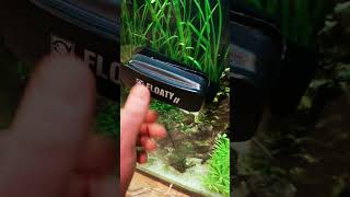 JBL Floaty 2 Aimant de nettoyage spécial vitre en verre Zoomalia