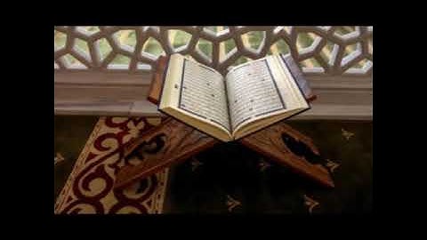 ربع ( ليس عليك هداهم ) إلى أخر سورة البقرة | الشيخ صالح زكريا