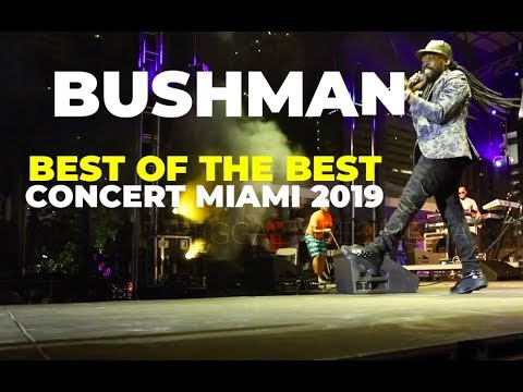 Bushman Best of