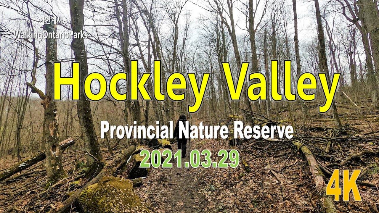 [4K] Hockley Valley Provincial Nature Reserve, Mono, #9, [2021.03.29