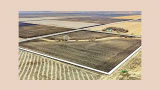 Iowa Farmland Selling in Two Tracts