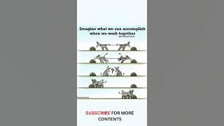 Team work #whatsappstatus