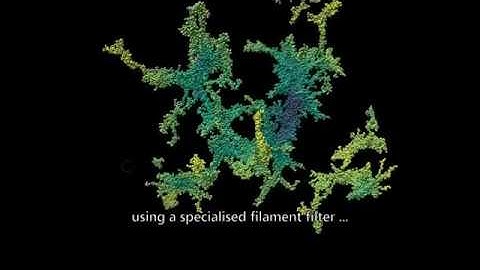 Visual Analysis of Structure Formation in Cosmic Evolution