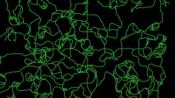 Procedural Road Network - Experiment 3