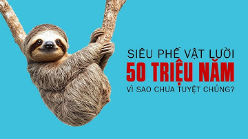 #1013 Vì Sao SIÊU PHẾ VẬT LƯỜI Chưa Chịu Tuyệt Chủng?