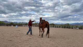 Trying to restart an soften an old stiff ranch horse