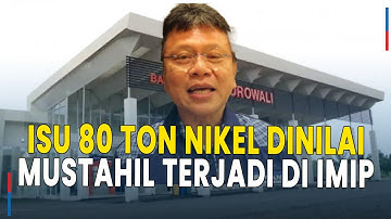 Isu 80 Ton Nikel Diselundupkan Tiap Hari Lewat Bandara IMIP Morowali, Pengamat Ungkap Kejanggalan