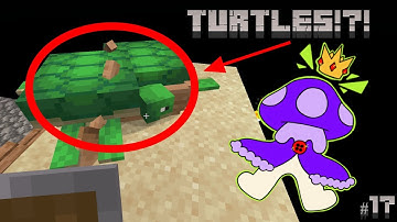 TURTLE EGGS FINALLY 🐢 | Minecraft Skyblock