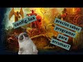 OTServer Editando config.lua