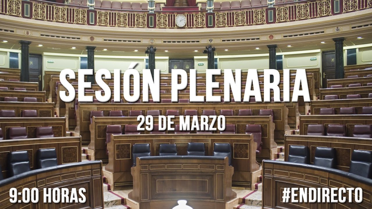 Sesión Plenaria (29/03/2017)