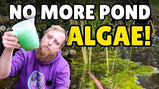 Pond Algae Taking Over? Here's What to do!