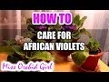 How to care for African Violets and more