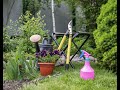 What to do now to make your garden better later