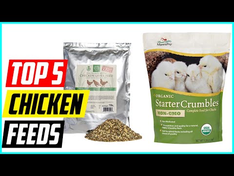 5 Best Chicken