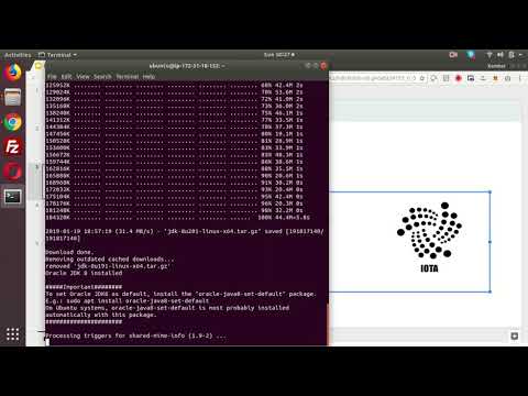Setup an IOTA IRI node on AWS