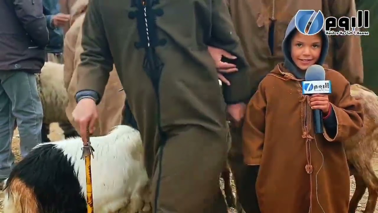 غلاء بأسواق الماشية ، الموالة  يشتكون قلة وغلاء الاعلاف بالاسواق .العينة سوق بئر مقدم تبسة