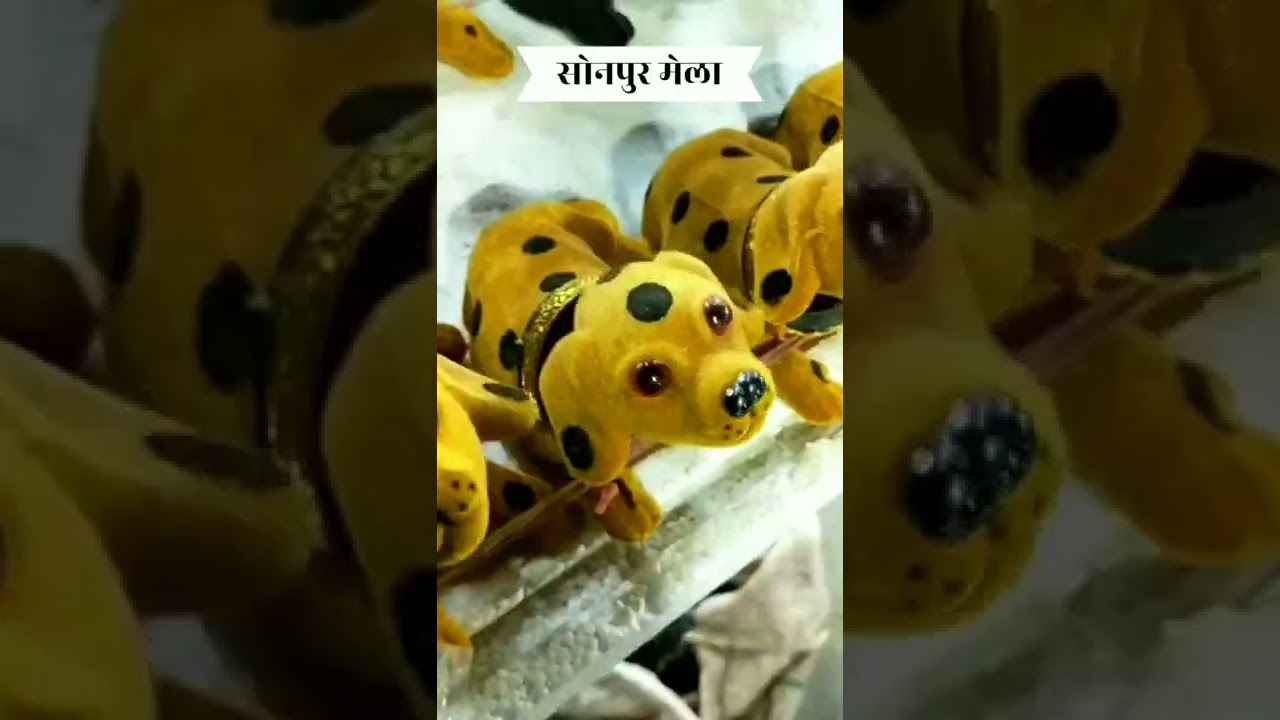 सोनपुर मेला 2022 | Sonepur Mela 2022 | Sonpur Mela|