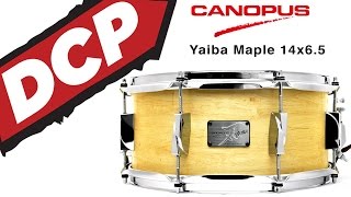 DCP Review: Canopus Yaiba Maple Snare Drum 6.5x14