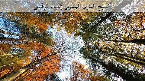 سورة الزلزلة  آلشيخ القارئ المغربي الرقيبي زكرياء