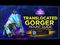Translocated Gorger Mount Guide (WoW 11.2)