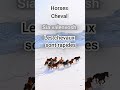 horse in french #LearnFrench #FrenchWord #DailyFrench #SiaValenvosh #FrenchLessons #LanguageLearning