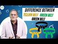 Difference Between Yellow Belt, Green Belt, Black Belt, and Lean Projects   अब हिंदी में