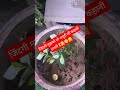 मुझे तो जिंदगी अधूरी सी कहानी लगती है #shortvideos #motivation #viralstory #viraltoday